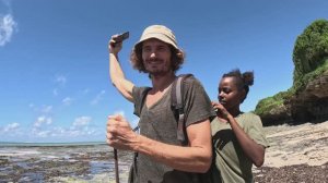 СТРИМ У ЭДУАРДА ПРИ ОТЛИВЕ ОКЕАНА РАССМАТРИВАЕМ МЕСТНУЮ  ФАУНУ