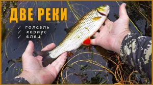 Поиск места для рыбалки. Две реки. Ловля нахлыстом голавля, хариуса, ельца.