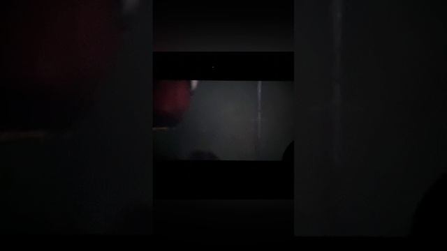 Three Spider Man