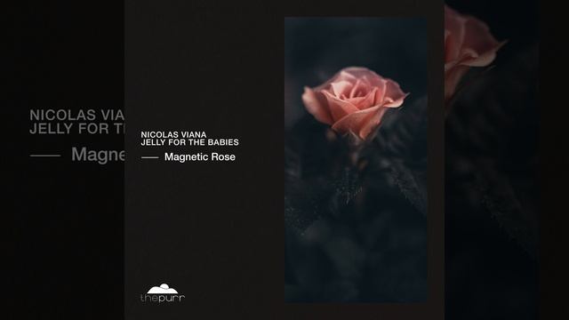 Magnetic Rose смотреть онлайн