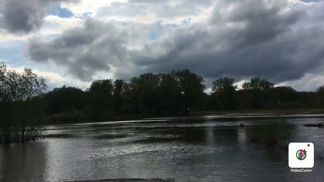 Река ХОПЁР 07.05.2021 год/ Лебеди прилетели. смотреть онлайн