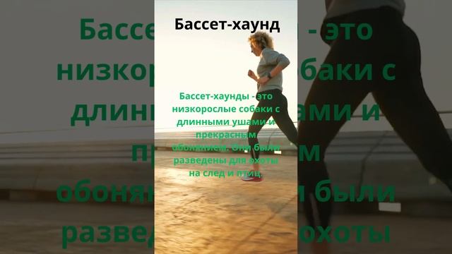 #Девушки #юмор #факты #love #шутки #собаки смотреть онлайн