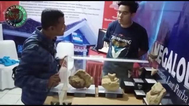 Koleksi Museum Megalodon || PAMERAN TEMPORER смотреть онлайн