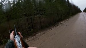 Охота с гончими.