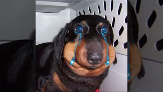 СОБАКА ПИСАЛА DRILL (prod. MishanYa)