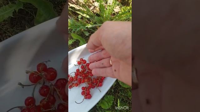 Летний компот смотреть онлайн