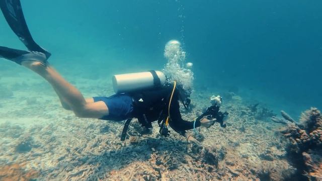 "Избавление от чувства вины". 11 января. Мелоди Битти. Ежедневник для созависимых. смотреть онлайн