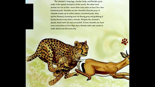 Big Cats смотреть онлайн