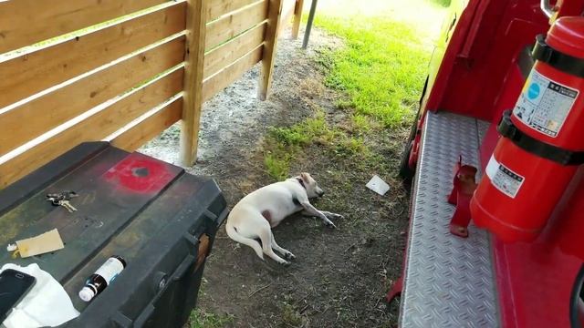 Monday Morning Minitrucker, episode #1. Subaru Sambar KS4 смотреть онлайн