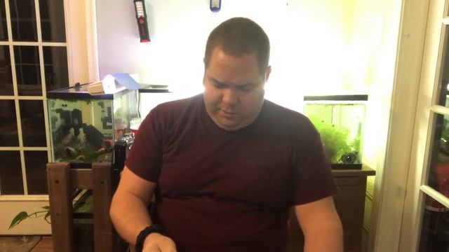 Unboxing and Review of Fancy Tail Aquatics Food AND Mystery Guppy Strain Update February FIsh Vlog смотреть онлайн