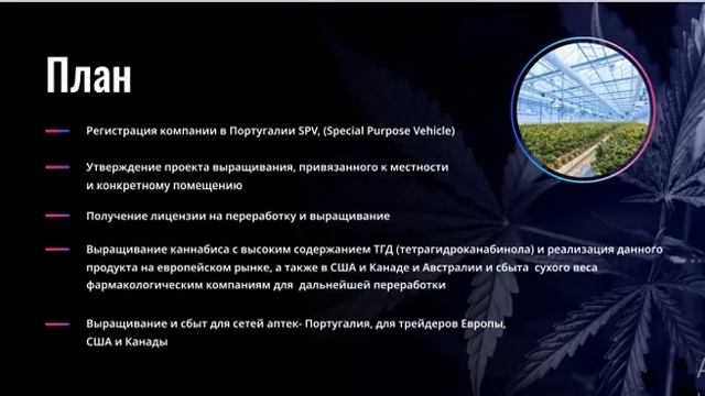 Компания Sincere systems Быстрая проверка на пирамиду на хайп на легальность смотреть онлайн