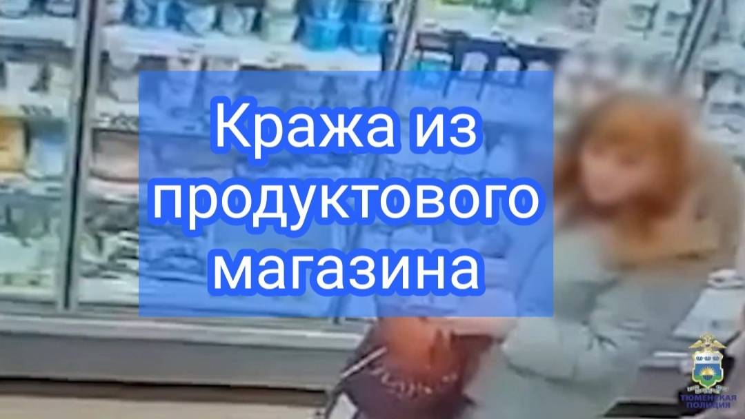 В Заводоуковске полицейские задержали подозреваемую в краже из продуктового магазина смотреть онлайн