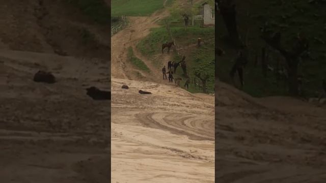 кайнар айылында көчкү көбөйдү смотреть онлайн