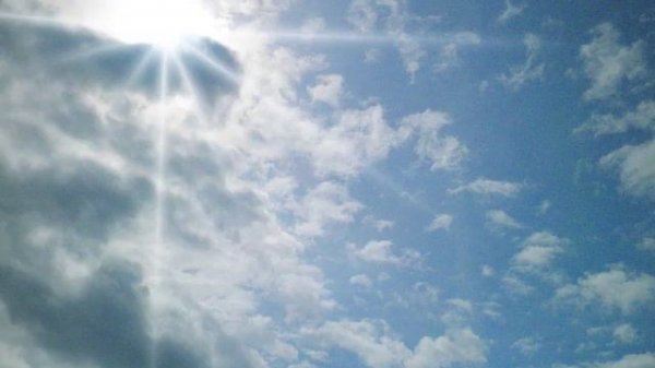 Zulya Kamalova - Insomnia.wmv