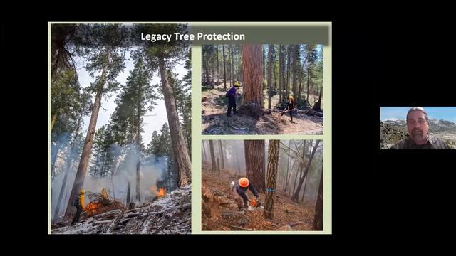Prescribed Fire Forum - November 2021 смотреть онлайн