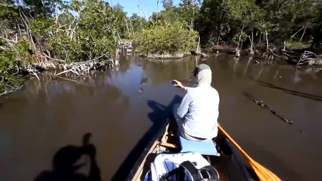 Встреча с крокодилами смотреть онлайн