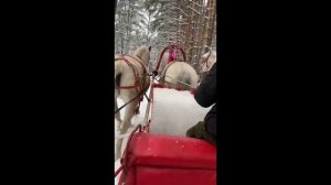 СМОТРЕТЬ ВСЕМ, КТО ХОЧЕТ В Наступающем ГОДУ Удачно ВЫЙТИ ЗАМУЖ!..