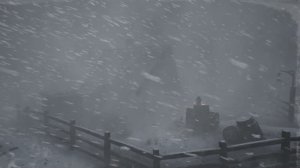 СНЕЖНАЯ БУРЯ в лесу. Вой ветра и метель. Звуки для сна, учебы и релаксации