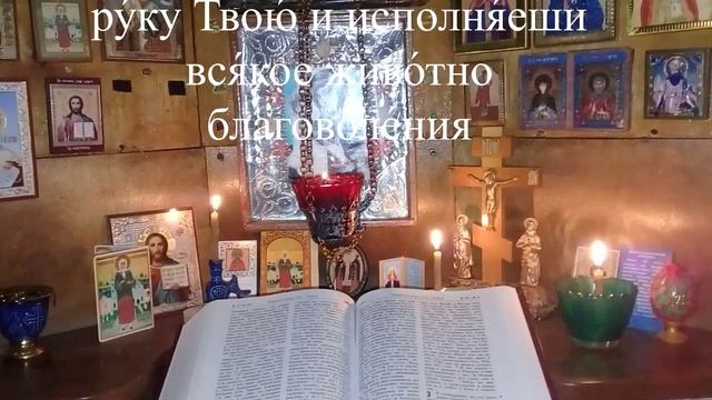 Молитвы перед едой и после еды смотреть онлайн