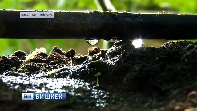 Teplica KG смотреть онлайн