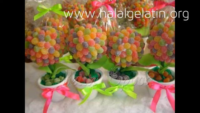 Kids Jelly Hoodie | Halal Gelatin смотреть онлайн