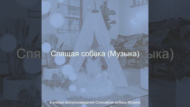 Впечатление (Спящая собака) смотреть онлайн