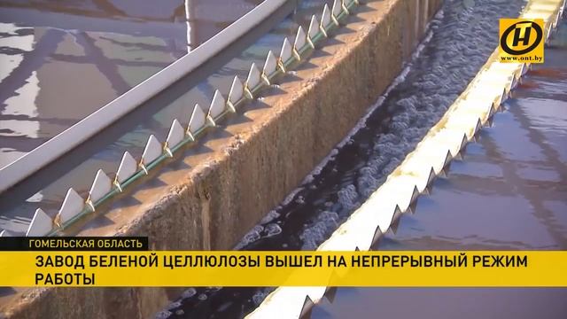 Светлогорский завод белёной целлюлозы может производить товар почти на миллион долларов в сутки смотреть онлайн