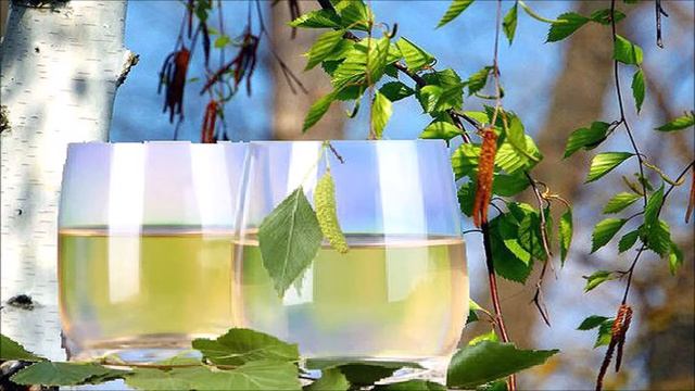 Nhựa bạch dương (Березовый сок), Đặt lời Viêt và trình bày: Nguyễn Tuấn Khoa смотреть онлайн