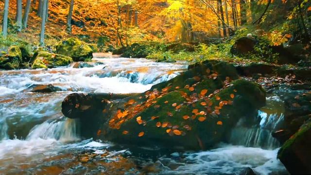 Relaxing Zen Music with Water Sounds • Peaceful Ambience for Spa, Yoga and Relaxation смотреть онлайн