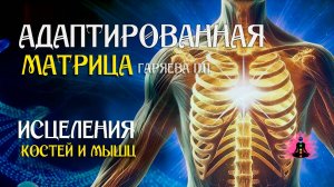 Программа для исцеления костей и мышц 🌀 Адаптированная матрица по технологии Гаряева ☀️SoftRadio.ru