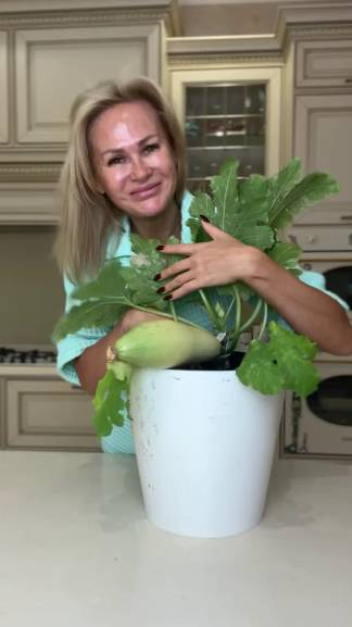 Легкий завтрак и приятный перекус, чтобы не растерять форму к Новому году! 🎄 смотреть онлайн