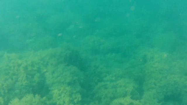 Большой Утриш, прогулка и подводное видео смотреть онлайн