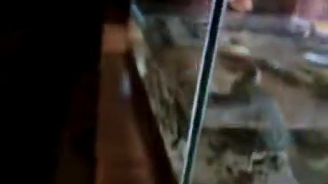Клип время истекло троль мои черепахи смотреть онлайн