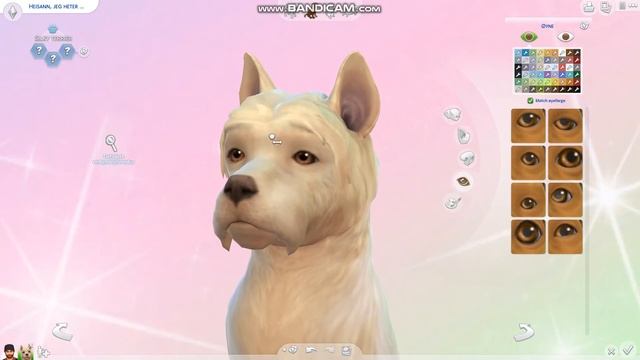 Creating StarStabel dog in the sims 4 || Starstabel and sims 4 смотреть онлайн