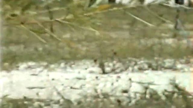 1988 Abandoned Drive Inn and Vaughn Road at 5th Aurora Illinois смотреть онлайн