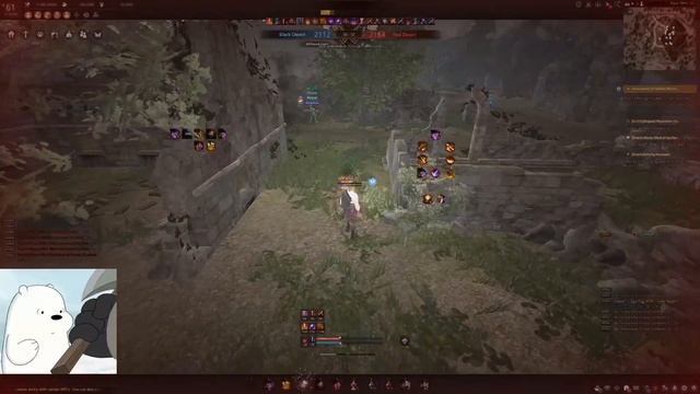 BDO Hashashin Succession RBF #1 смотреть онлайн