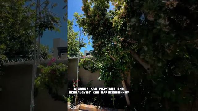 В Южной Африке все не как у нас. #африка #юар #путешествия смотреть онлайн