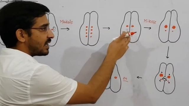 Protozoa - Part 6 || Paramoecium || Zoology || Class XI Foundation || NEET || by DSP sir смотреть онлайн