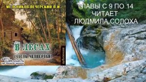 04.03 П. И. Мельников - Печерский "В лесах" (часть 4 главы 9 по 14)
