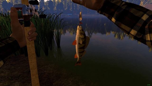 Fishing Planet смотреть онлайн