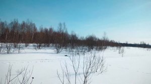 охота ,хатсан 125 VS тетерев