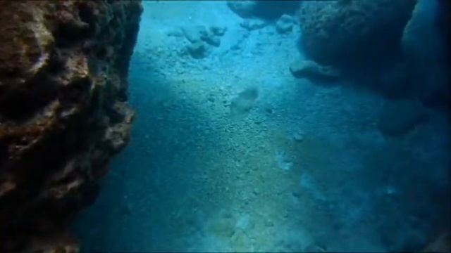 Passe de l'Hermitage 3 смотреть онлайн