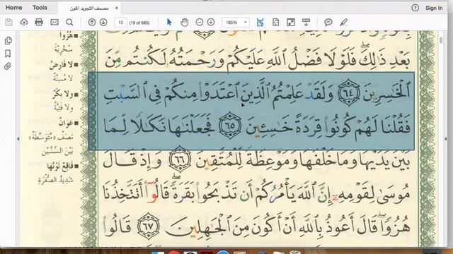 Eaalim Aminah - Surah Al-Baqarah Ayat 65 From Quran .