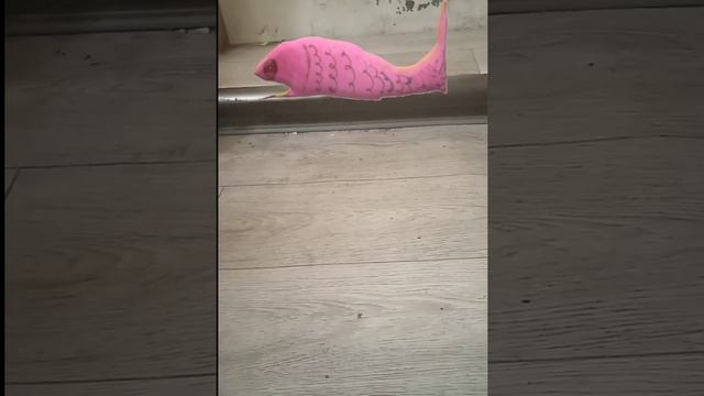 Китае прыгает смотреть онлайн