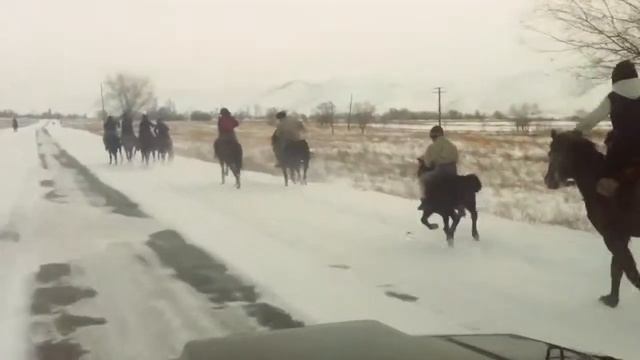 Жалгызагаш и Бигаш смотреть онлайн
