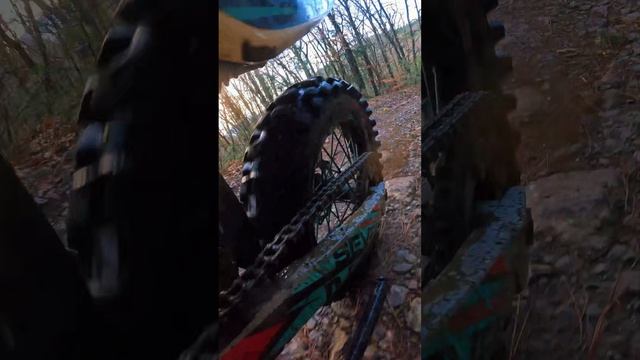 Крымская Зима,а скоро Новый год смотреть онлайн