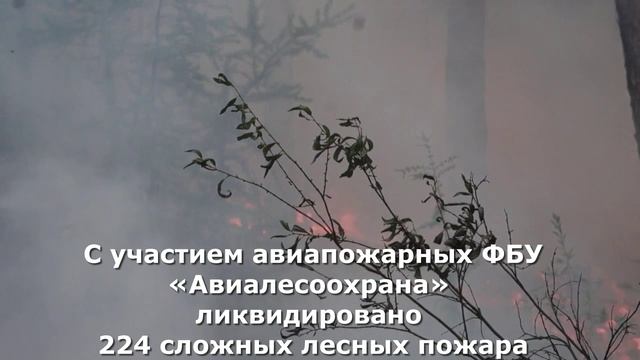 Итоговый видеоролик о работе Федеральной Авиалесоохраны в 2024 году смотреть онлайн
