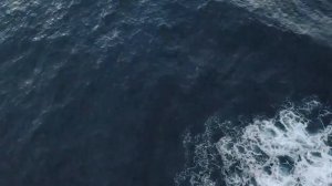 Meditation music for Yoga. Sea. Ocean. Mantra. Relax. Dr. Averyanov commend healing Music!