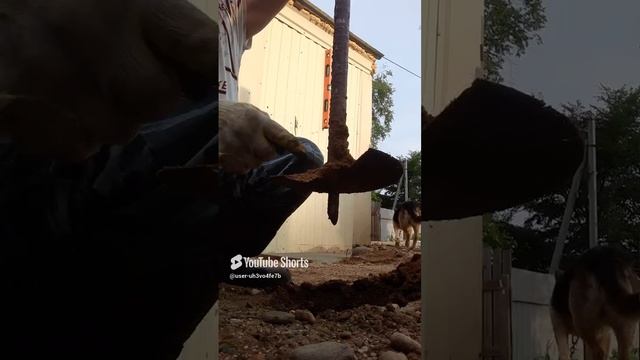 31 июля 2024 г. (3).mp4 смотреть онлайн