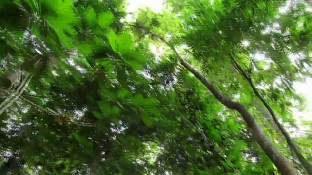 Сон перед звонком будильника